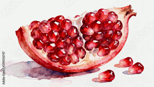 Konstfotografi pomegranate isolated watercolor vector illustration svg