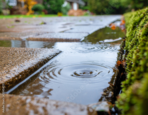 Rainwater gently flowing between moss-covered garden stones after rainfall