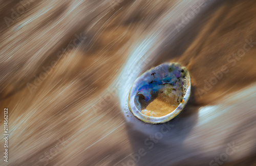 Slow shutter speed image of an abalone shell on the beach with water rushing by