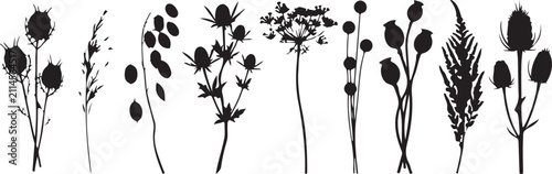 Botanical wildflower silhouettes, black floral vector set of 9 meadow plants, rustic dried flower illustrations for wedding stationery and nature branding