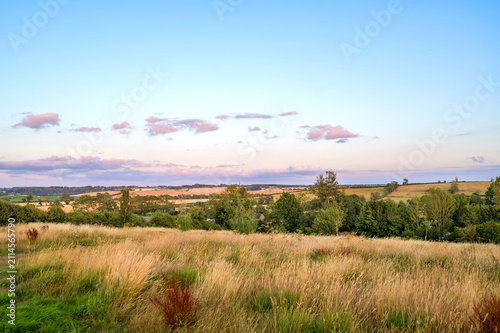 Rolling countryside with dry meadow grass and distant trees beneath a blue summer sky