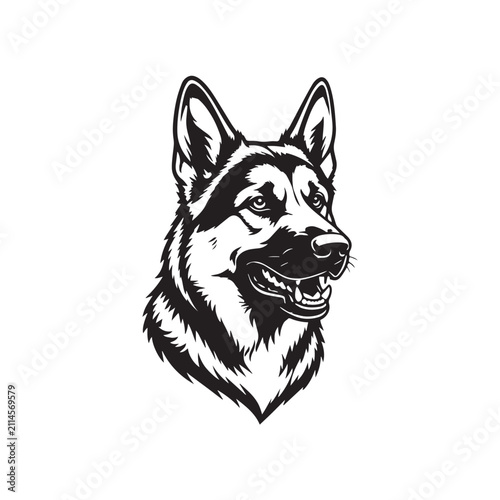 vector illustration of german shepherd