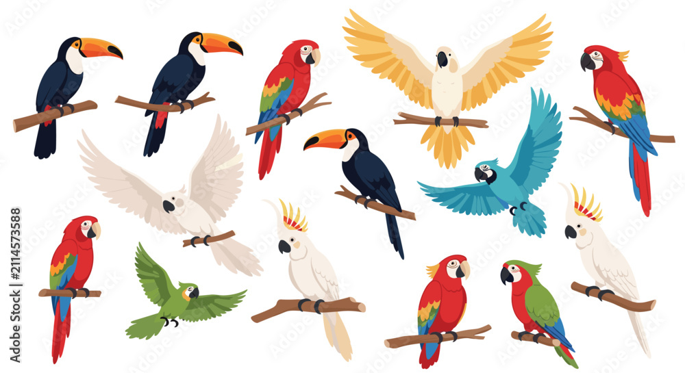 Fototapeta premium Various tropical birds including colorful macaws, toucans, and cockatoos perched on branches or flying in wild.