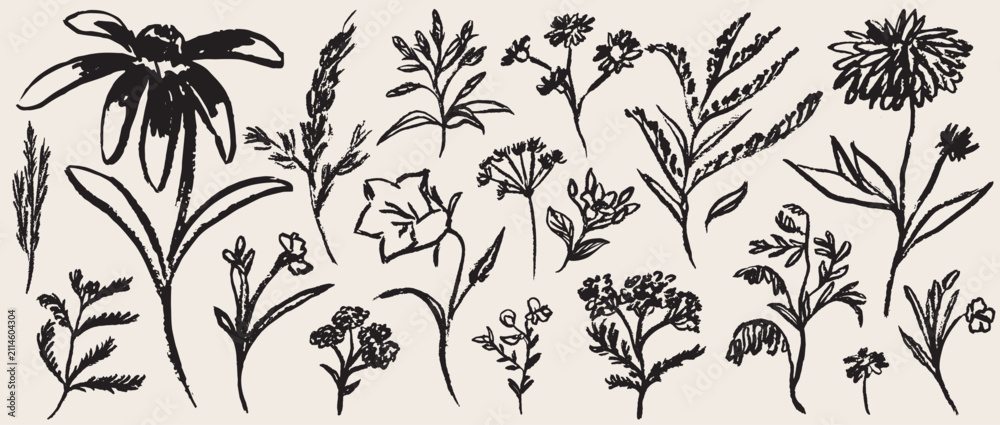 Obraz premium Grunge minimal charcoal chalk summer autumn flowers. Ink hand drawn wild garden herb set in wax crayon drawing style vector illustration. Floral silhouette elements for scrapbooking or journal design.