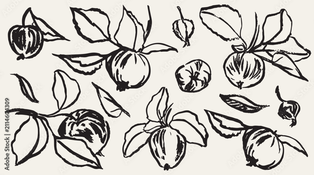 Fototapeta premium Grunge minimal charcoal chalk summer autumn apple harvest. Ink hand drawn wild garden apple set in wax crayon drawing style vector illustration. Floral silhouette elements for branding or packaging.