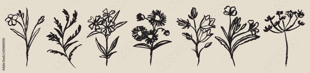 Obraz premium Grunge minimal charcoal chalk summer autumn field flowers. Ink hand drawn wild garden herb set in wax crayon drawing style vector illustration. Floral silhouette elements for scrapbook journal design.