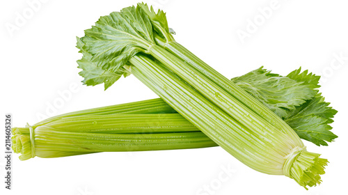 Принти на полотні Fresh green celery stalks with leaves