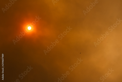 Obraz na plátne Sun struggling to penetrate a sky thick with smoke and haze from the El Tiemblo