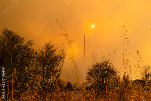 Foto Wildfire smoke engulfing the El Tiemblo, Ávila, Spain