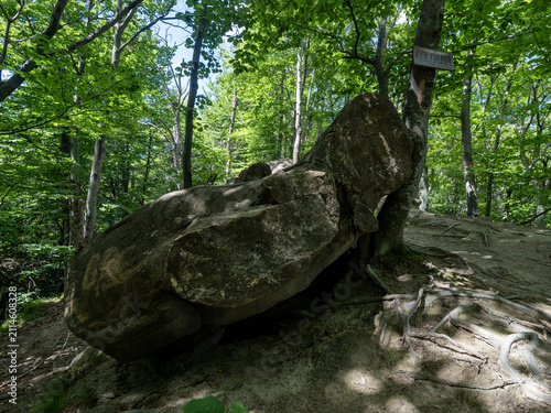 Фотография Ulmet Concretions named Trovants, Buzau County, Romania