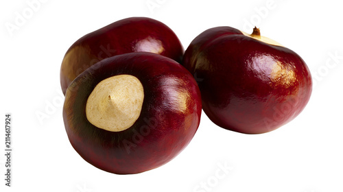 Foto Three shiny horse chestnuts with light brown scar