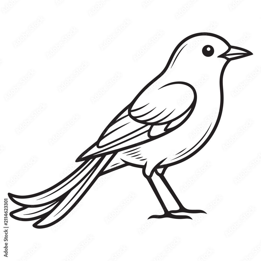 Obraz premium Small songbird coloring page featuring simple black outline for educational purpose.