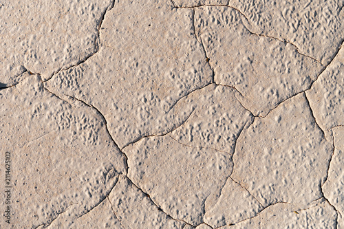 Cracked chalky surface texture with light beige and lime tones