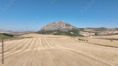 campo de siembra de cereal ya recogido y segado en Andalucía