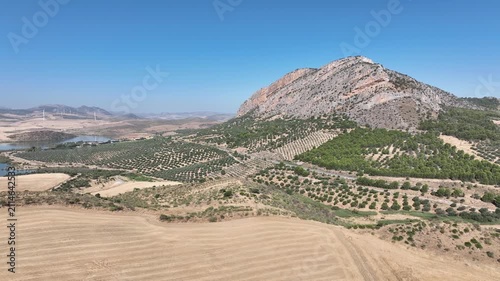 campo de siembra de cereal ya recogido y segado en Andalucía	