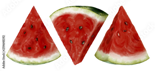  Watercolor watermelon slices collection. Realistic watermelon illustration for any occasion, isolated on white background.
