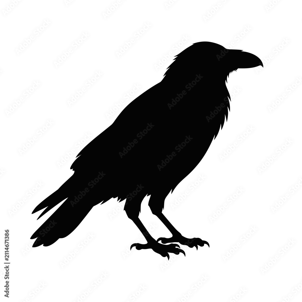 Fototapeta premium A solitary black crow silhouette perches with wings slightly spread on a clean white background.