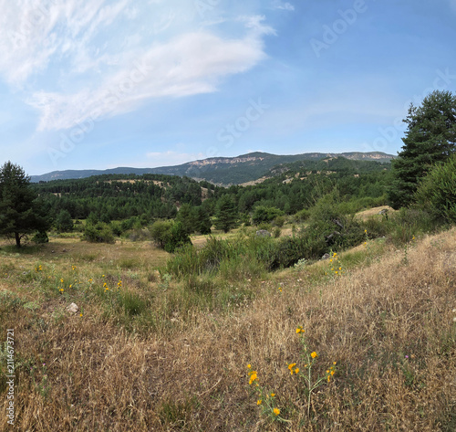 Принти на полотні Pastos junto a los bosques de Guadalajara