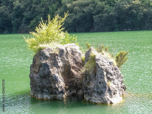 Принти на полотні Gran roca emergiendo de un lago de aguas verdes con vegetación creciendo sobre ella y un frondoso bosque al fondo