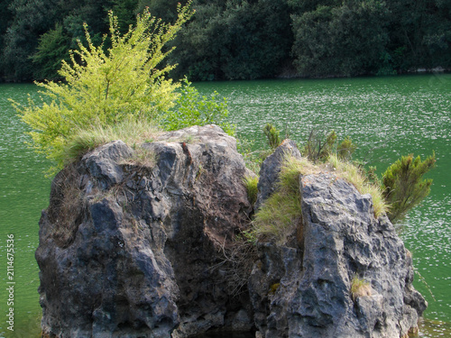 Konstfotografi Gran roca emergiendo de un lago de aguas verdes con vegetación creciendo sobre ella y un frondoso bosque al fondo
