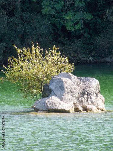 фотографія Gran roca emergiendo de un lago de aguas verdes con vegetación creciendo sobre ella y un frondoso bosque al fondo