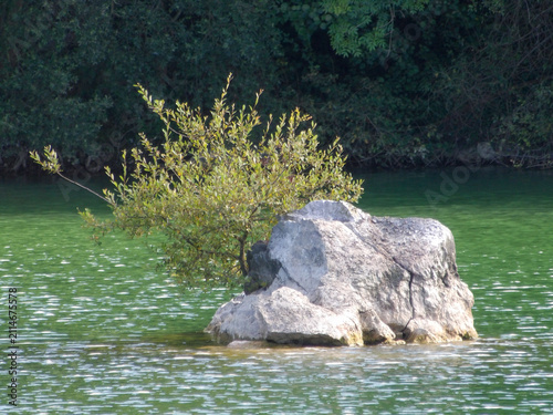 Konstfotografi Gran roca emergiendo de un lago de aguas verdes con vegetación creciendo sobre ella y un frondoso bosque al fondo