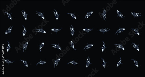 Quadro su tela aerial view of multiple killer whales swimming in dark ocean water with black an