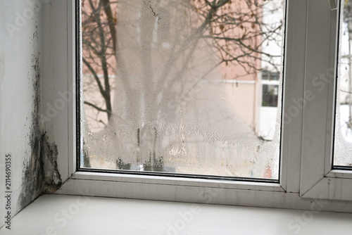 Konstfotografi Mold occupies wet plaster near window frame