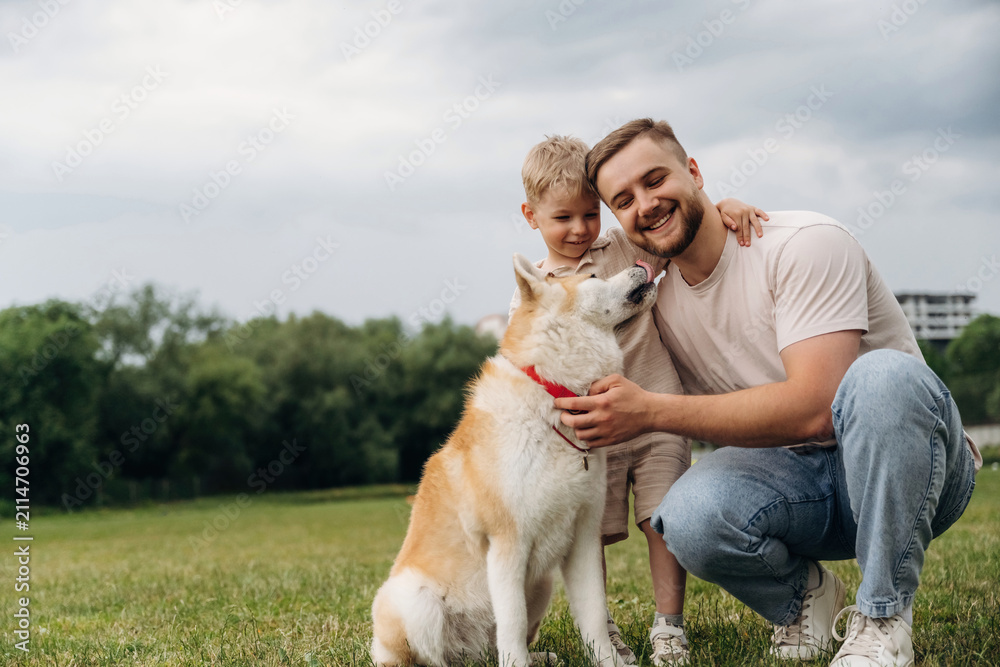 Fototapeta premium Caucasian father and son kneeling on grass petting a friendly Akita dog in a green park with trees and a cloudy sky in the background