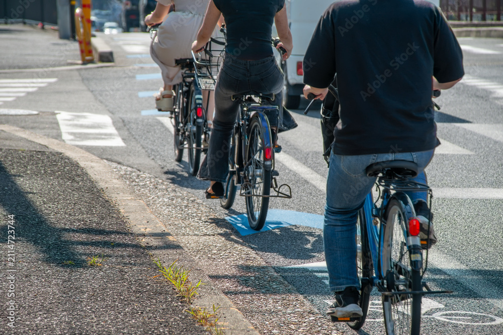 Fototapeta premium 自転車ナビラインの上を走る自転車