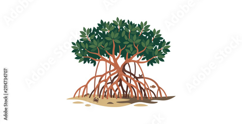 Mangrove Tree Vector Illustration