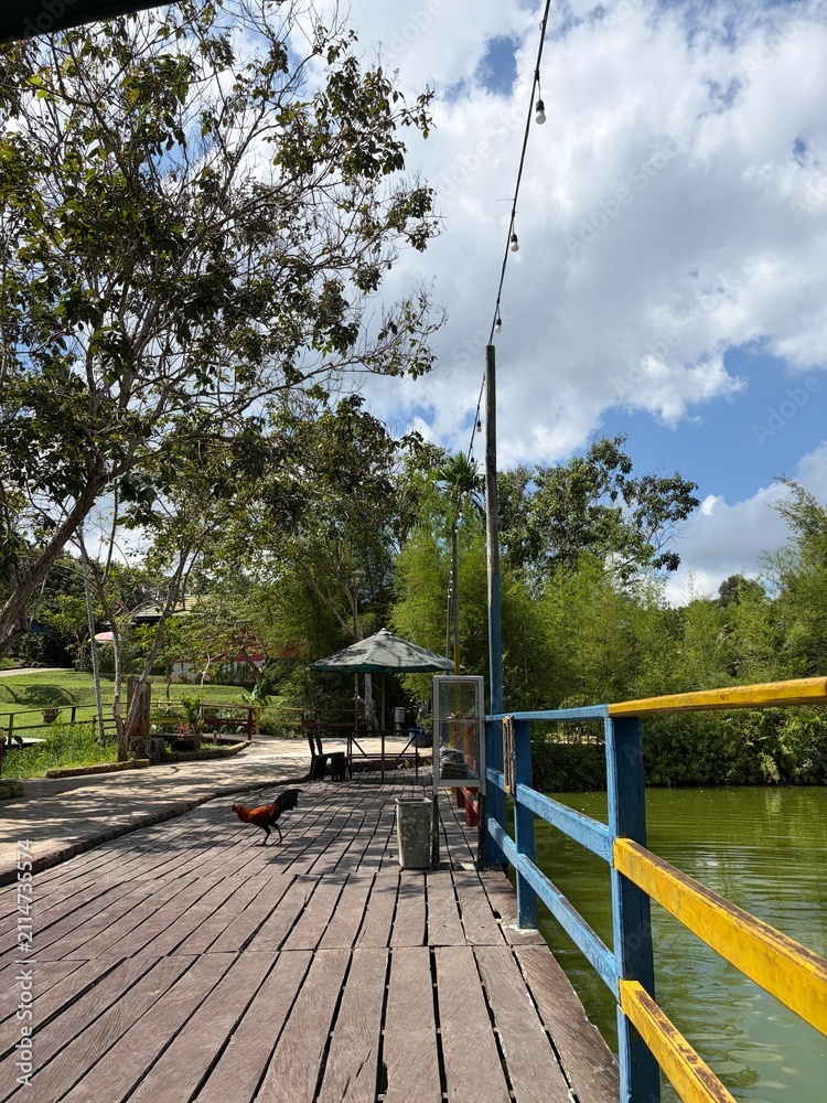 Fototapeta premium wooden bridge over the river