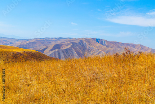 Hilly Landscape with Dry Grass under Clear Blue Sky