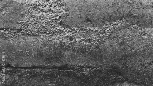 Foto Black and white macro texture of rough concrete-like natural surface with organic granular patterns for monochrome background design