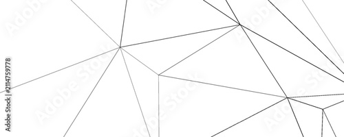 Принти на полотні Random geometric line pattern on a transparent background
