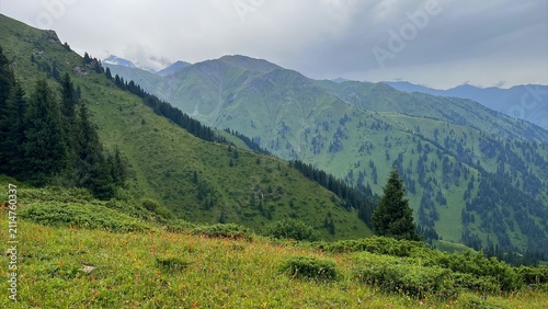 Quadro su tela Lush green meadows and pine trees on the mountain slopes under the cloudy sky, s