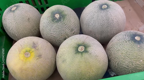 Fresh Organic Cantaloupe Muskmelons on Display at Fruit Market