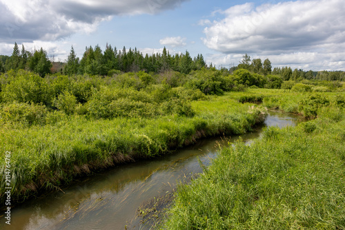 Young Mississippi River Near Its Headwaters at Lake Itasca in Northern Minnesota