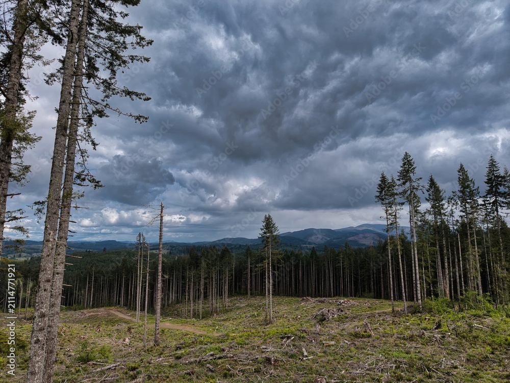 Obraz premium This is one view from the mountains north of Doty.
