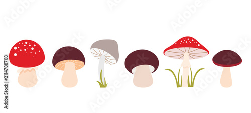 Autumn forest mushroom set. Edible and poisonous mushrooms clip art. Boletus, toadstool, fly agaric and oyster mushroom. Vector elements for fall season design