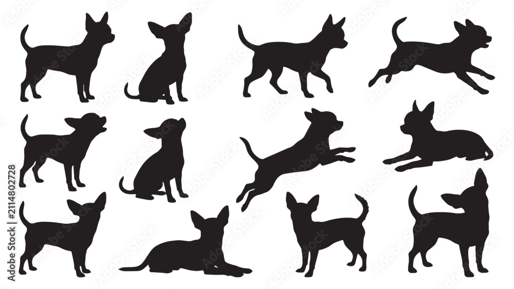 Obraz premium Chihuahua Dog Silhouette Bundle | 10 Black Vector Small Dog Poses Collection