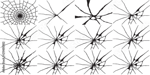 Fotografía Black spiderwebs and cracked glass patterns isolated on white for graphic design
