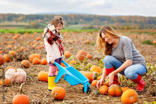 Little preschool girl and young mother on pumpkin patch with lots of pumpkins in autumn field. Happy child and woman, family enjoying harvest season outdoors. Real life, real people.