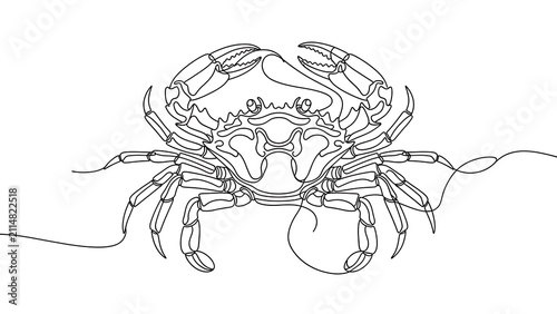 Detailed crab line art illustration white background.