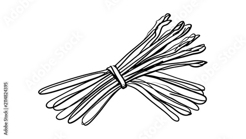 Bundle of wheat stalks illustration white background.