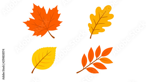 Foto Set of four colorful autumn leaves in flat vector style