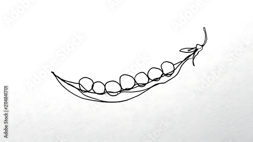 Pea pod illustration on white background.