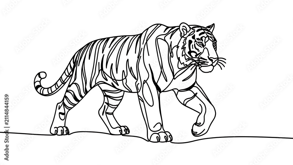 Obraz premium Tiger walking illustration on white background.
