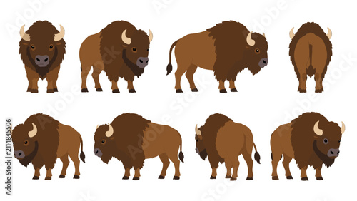 Bild auf Leinwand Bison vector set with front side and back views