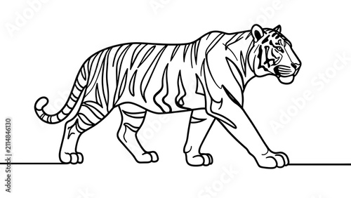 Tiger walking illustration on white background.